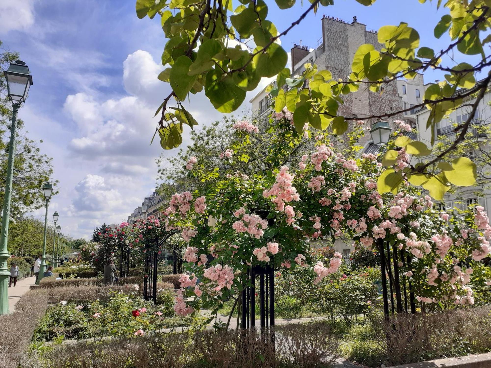 Marie Et Igor Bed & Breakfast Paris Exterior photo